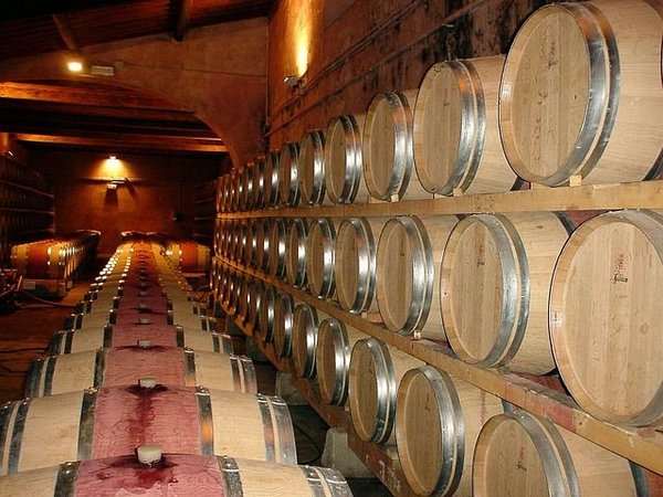 Que faire en cas de cave à vin bruyante ?